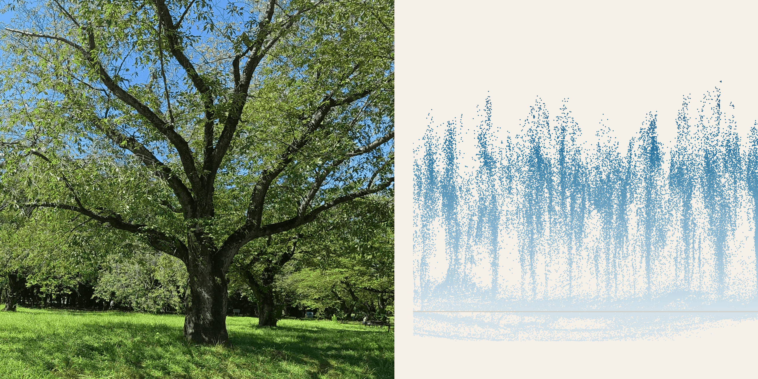 One Tree, Many Cameras: A Capture Protocol a Diagnosis Model Can Trust