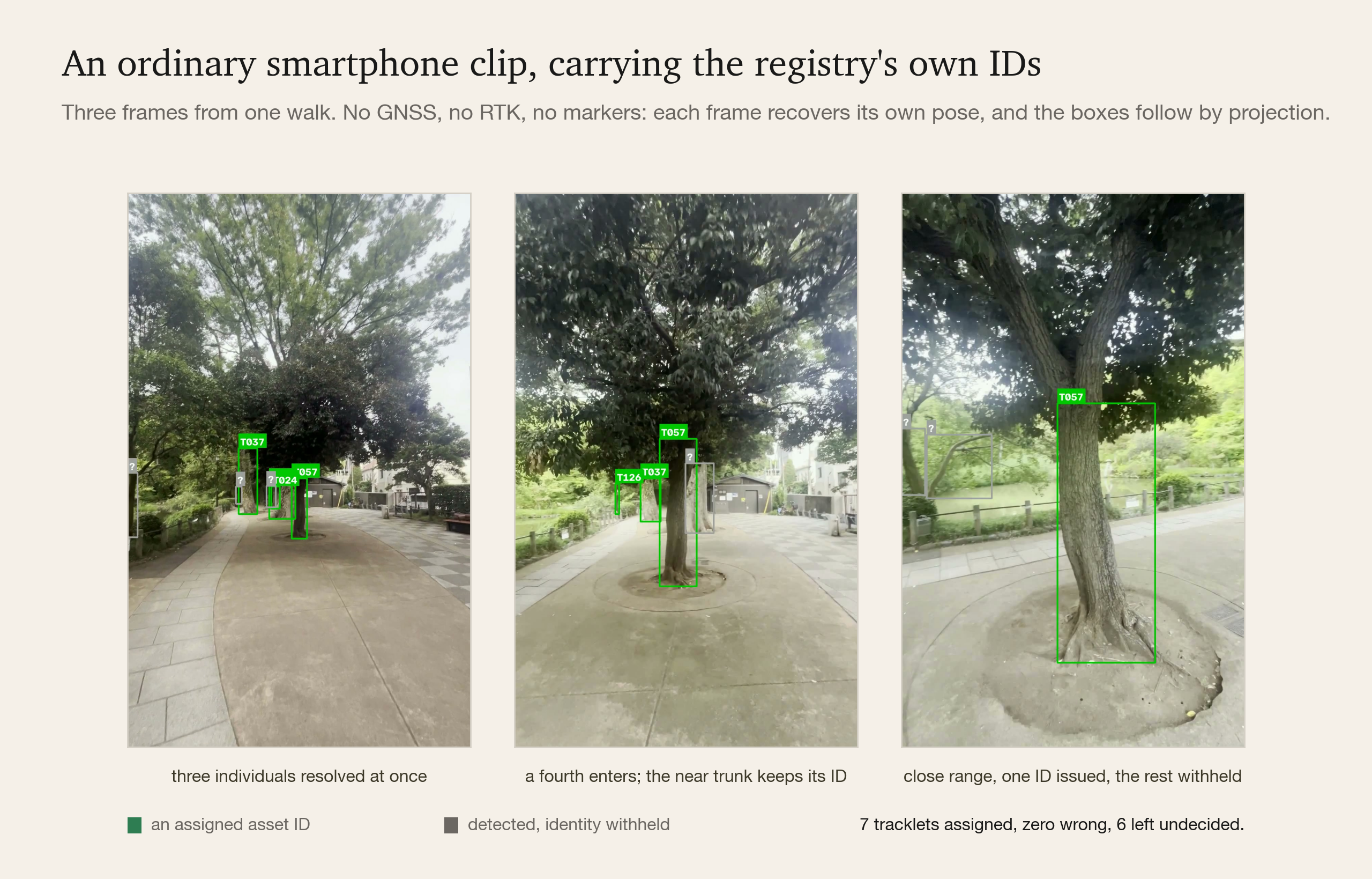 Three frames of the association layer's overlay on a smartphone clip, with registry IDs on the trunks