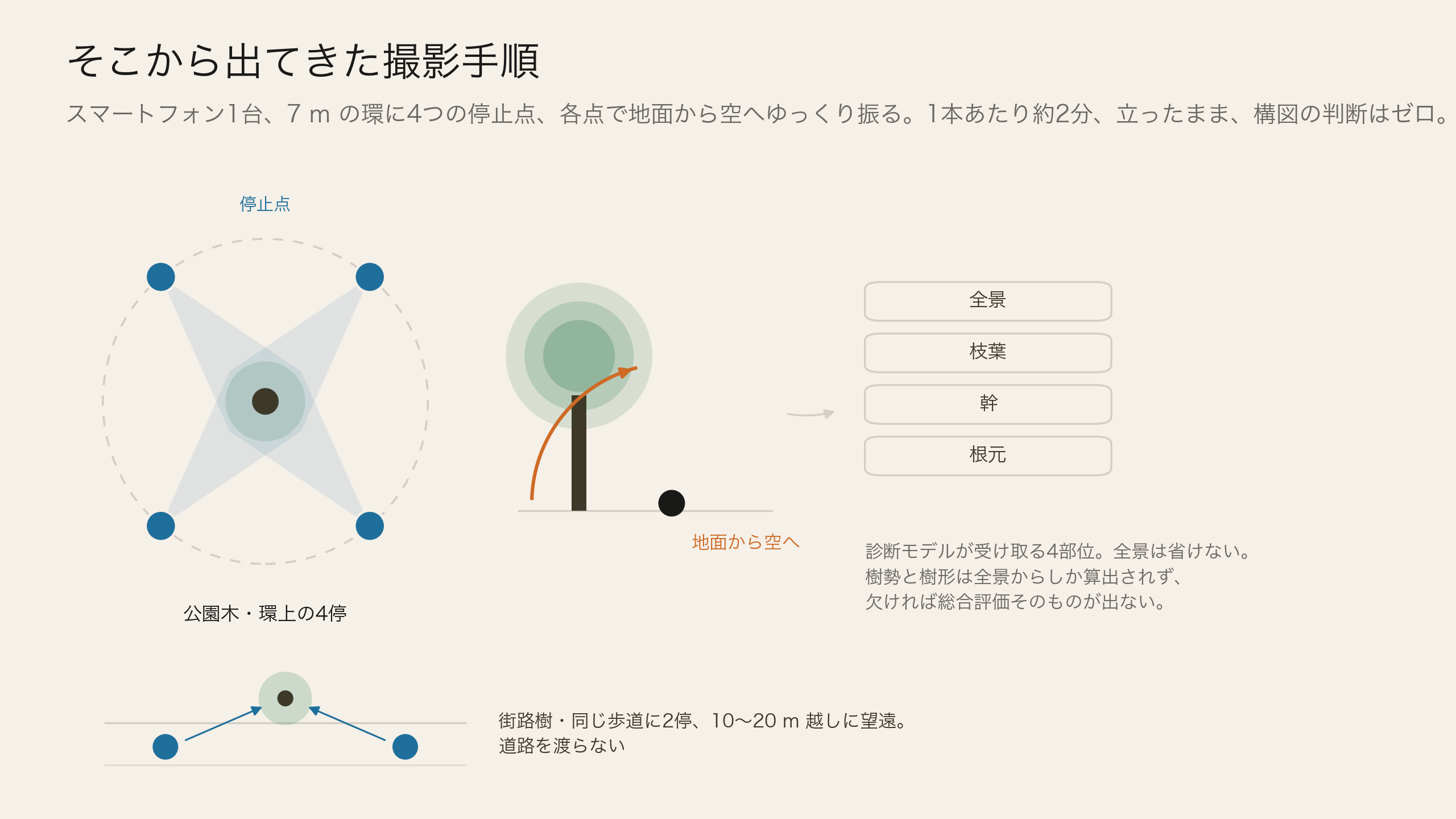 得られた手順:7 m の環に4つの停止点、各点で地面から空へのティルト、そしてモデルが受け取る4部位