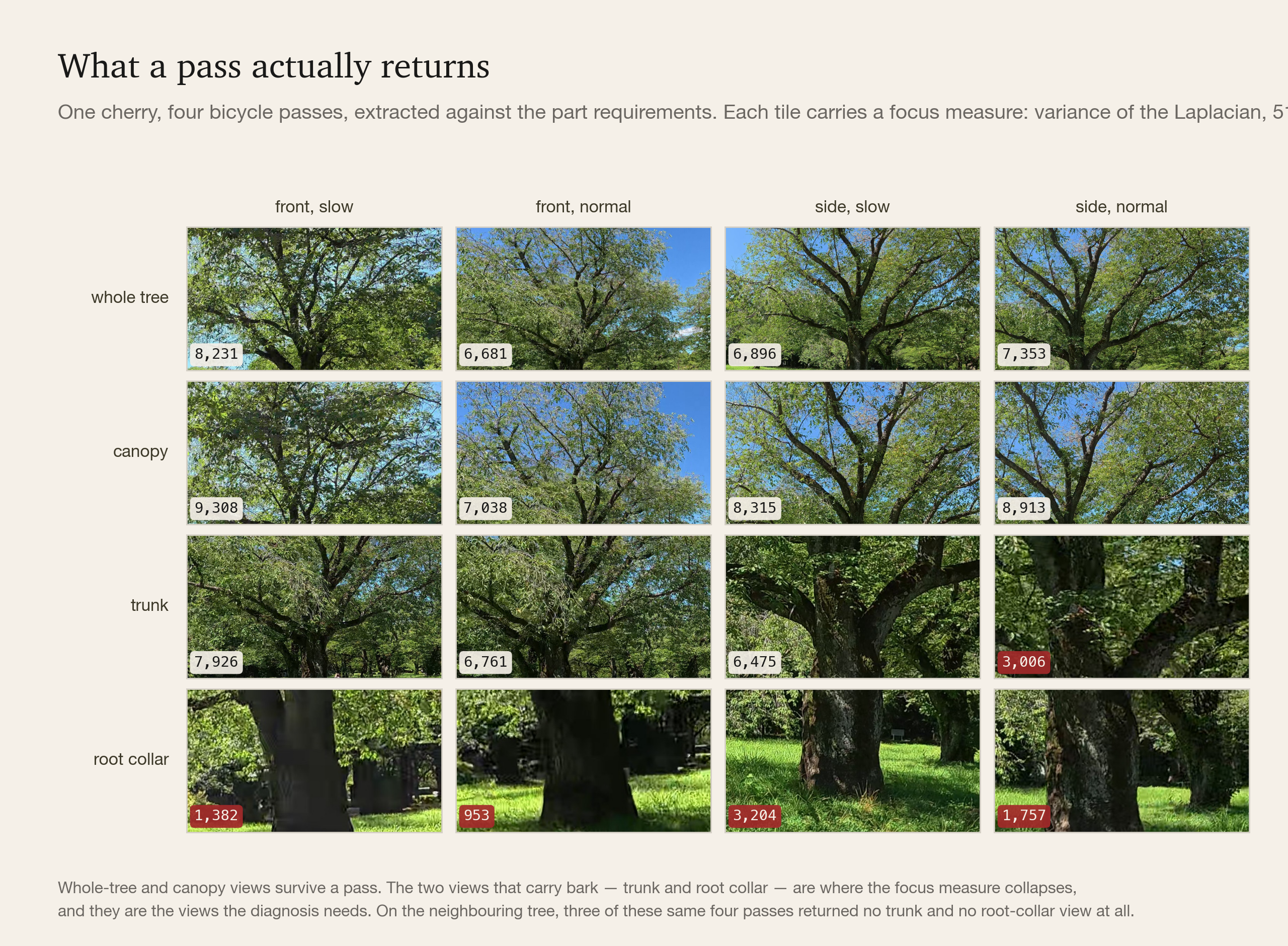 One cherry, four bicycle passes, the four part views, with a focus measure on each tile