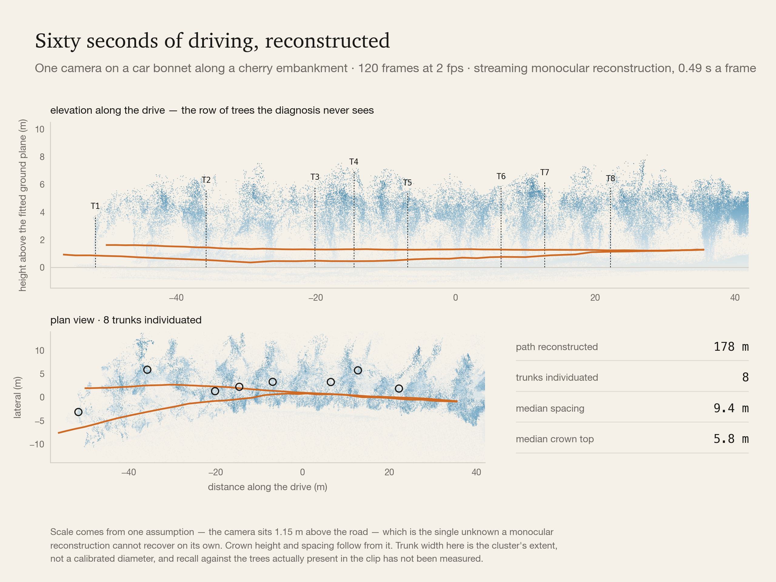 Sixty seconds of driving, reconstructed: elevation along the drive and the plan view with eight individuated trunks